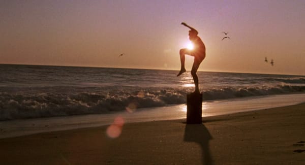 동전 던지기 이코노미